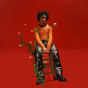 中国女人和黑人XX 免费视频
