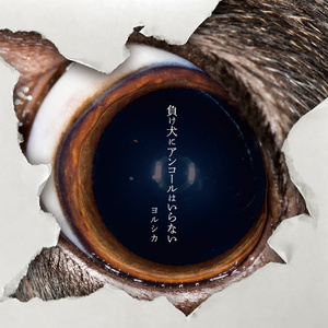 温柔的巨乳寡妇
