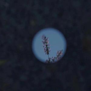 胡桃给我打脚枪
