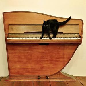 大爆奶美女网站
