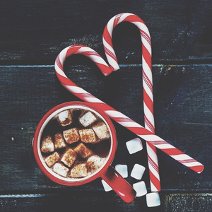 亚洲va韩国va欧美va精品
