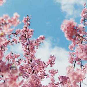 ❤️女主播给粉丝看奶头
