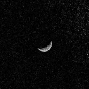 胡桃给我打脚枪
