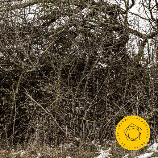 亚洲va韩国va欧美va精品
