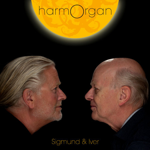 温柔的巨乳寡妇
