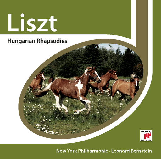 瓜老师笔记视频合集
